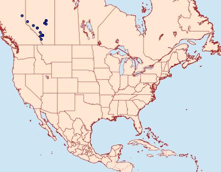 Distribution Data for Polychrysia esmeralda