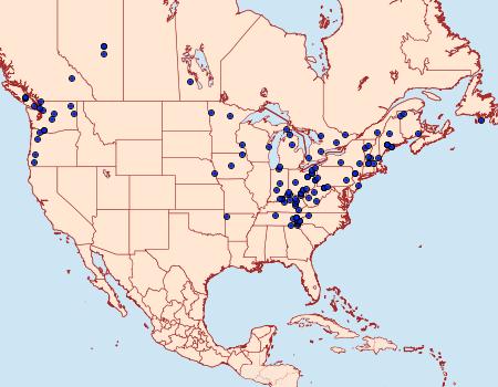 Distribution Data for Eosphoropteryx thyatyroides