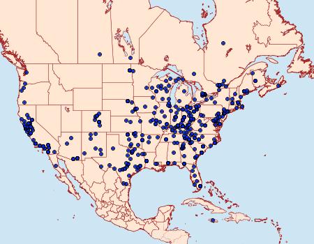 Distribution Data for Megalographa biloba