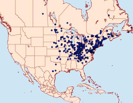 Distribution Data for Autographa precationis