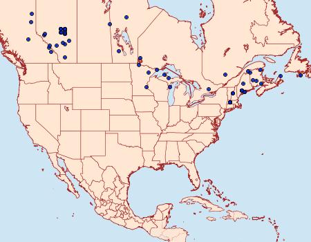 Distribution Data for Autographa bimaculata