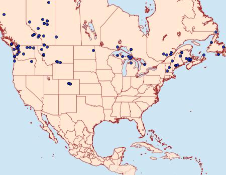 Distribution Data for Autographa mappa