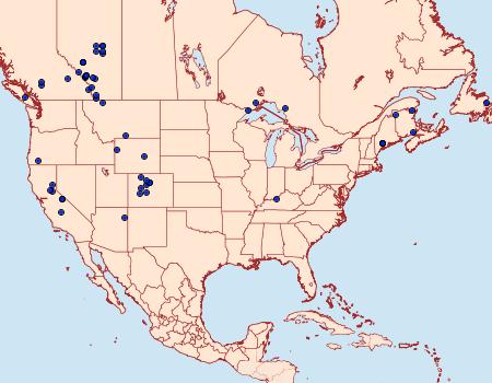 Distribution Data for Autographa pseudogamma