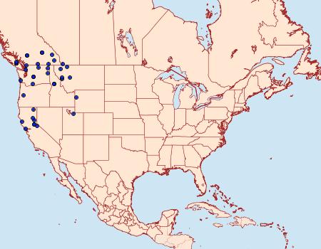 Distribution Data for Autographa metallica