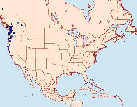 Distribution Data for Autographa corusca