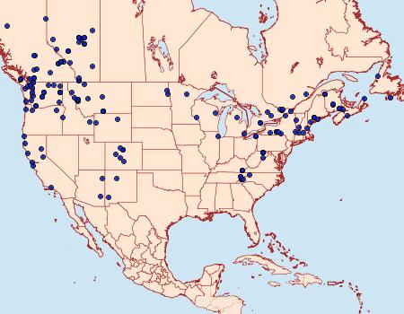 Distribution Data for Autographa ampla