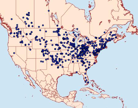 Distribution Data for Anagrapha falcifera