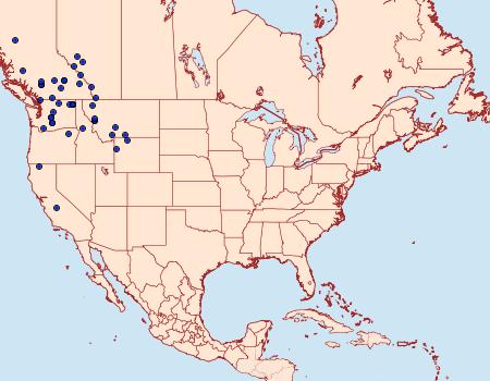 Distribution Data for Syngrapha orophila