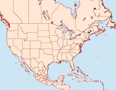 Distribution Data for Syngrapha u-aureum