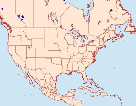 Distribution Data for Syngrapha interrogationis