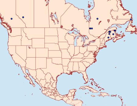 Distribution Data for Syngrapha surena