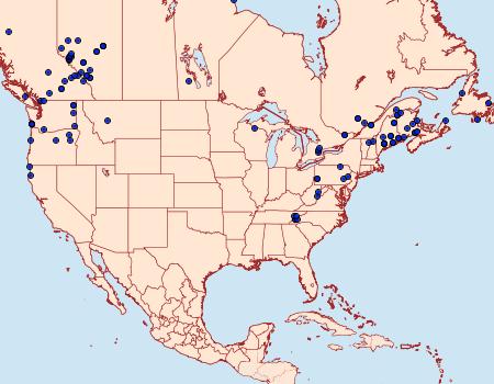 Distribution Data for Syngrapha alias