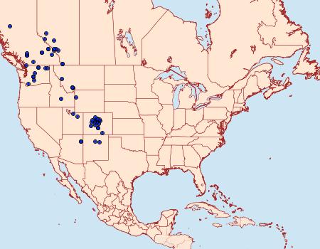 Distribution Data for Syngrapha angulidens