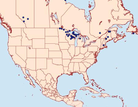 Distribution Data for Syngrapha microgamma