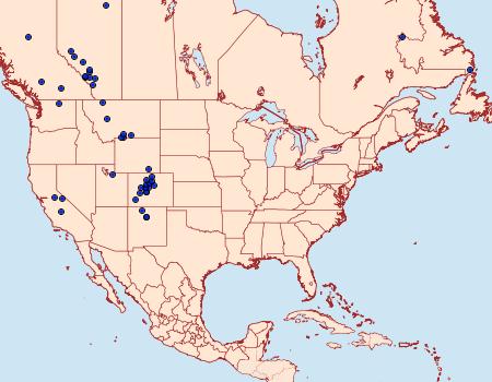 Distribution Data for Syngrapha ignea