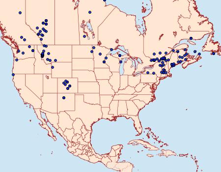 Distribution Data for Plusia putnami