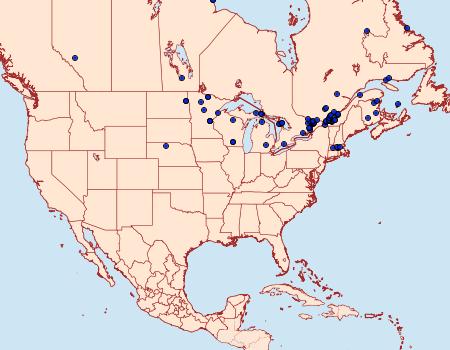 Distribution Data for Plusia magnimacula