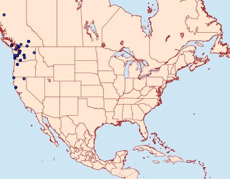 Distribution Data for Plusia nichollae