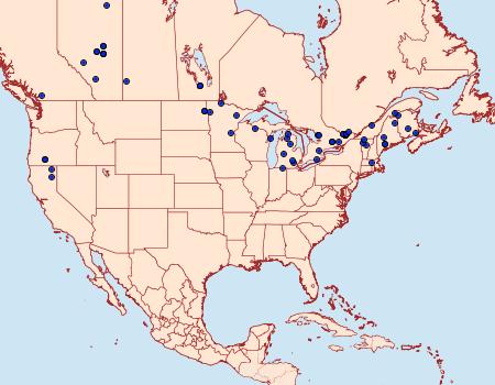 Distribution Data for Plusia venusta