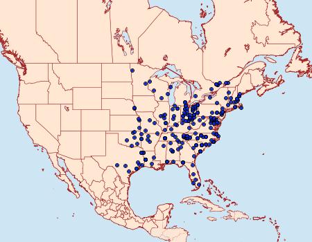 Distribution Data for Paectes oculatrix