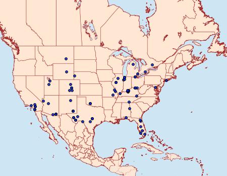 Distribution Data for Paectes abrostolella