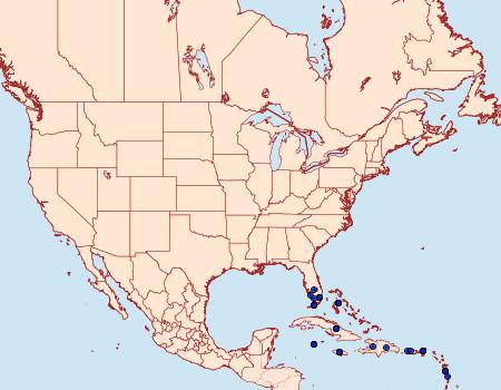 Distribution Data for Paectes asper