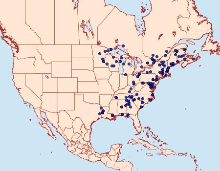 Distribution Data for Baileya doubledayi