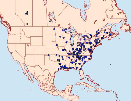 Distribution Data for Baileya ophthalmica