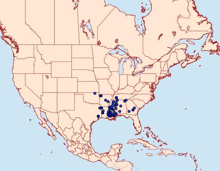 Distribution Data for Baileya acadiana