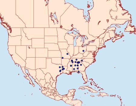 Distribution Data for Baileya ellessyoo