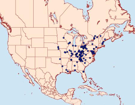 Distribution Data for Baileya levitans