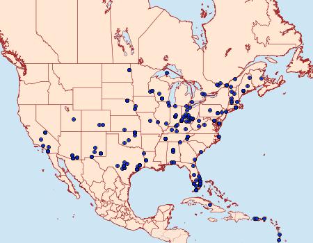 Distribution Data for Garella nilotica