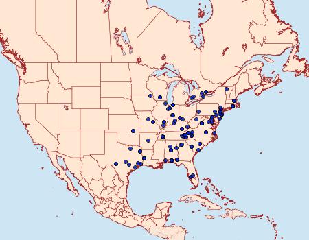 Distribution Data for Nycteola metaspilella