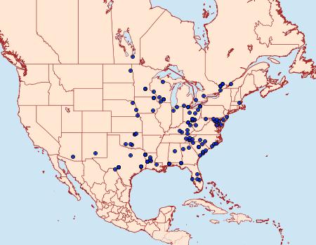 Distribution Data for Meganola spodia