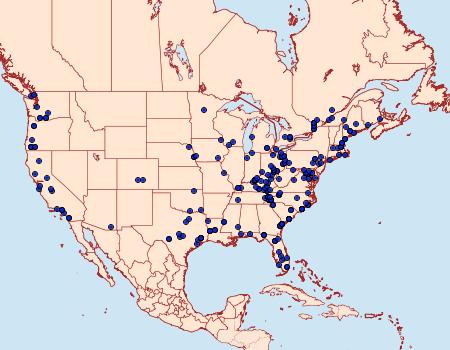 Distribution Data for Meganola minuscula