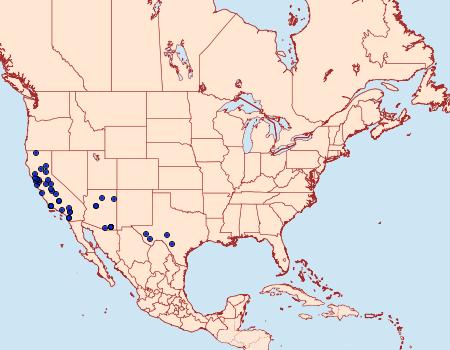 Distribution Data for Meganola fuscula