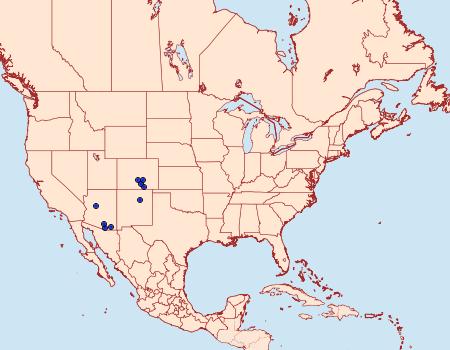 Distribution Data for Meganola conspicua