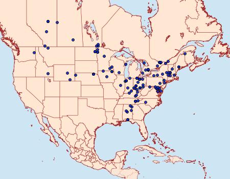 Distribution Data for Nola cilicoides