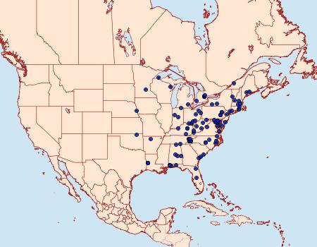 Distribution Data for Nola triquetrana