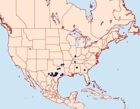 Distribution Data for Cydosia aurivitta