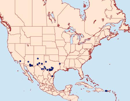 Distribution Data for Tripudia luxuriosa