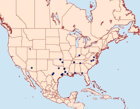 Distribution Data for Tripudia flavofasciata