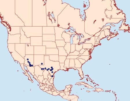 Distribution Data for Cobubatha lixiva