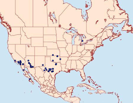 Distribution Data for Cobubatha dividua