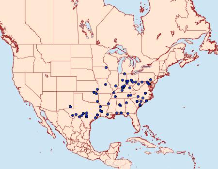 Distribution Data for Ozarba aeria