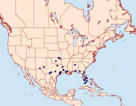 Distribution Data for Ozarba nebula