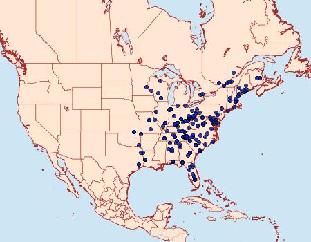 Distribution Data for Hyperstrotia nana