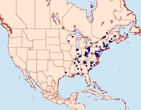 Distribution Data for Hyperstrotia pervertens