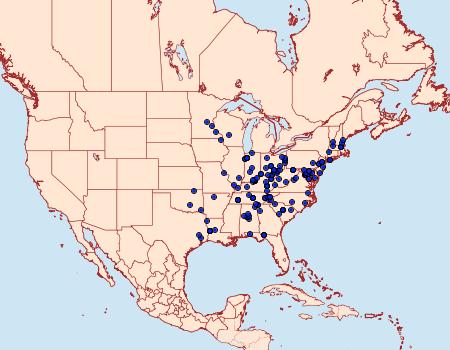 Distribution Data for Hyperstrotia secta