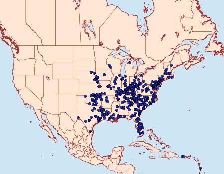 Distribution Data for Marimatha nigrofimbria